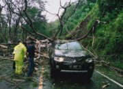 2 Mobil Hancur Tertimpa Longsor di Perbatasan Ponorogo - Trenggalek