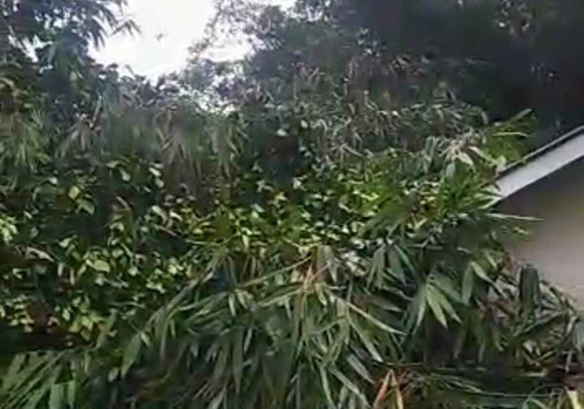 BPBD Bandung Barat Catat 35 Bencana dari Jan-Feb 2023