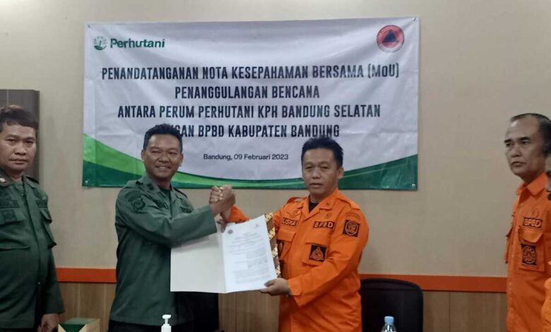 BPBD Kab Bandung dan Perhutani Bermitra Tanggulangi Bencana