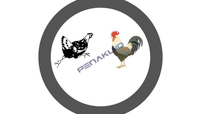 Kalang Sabung Ayam di Kab Sukabumi Ditutup Pemilik