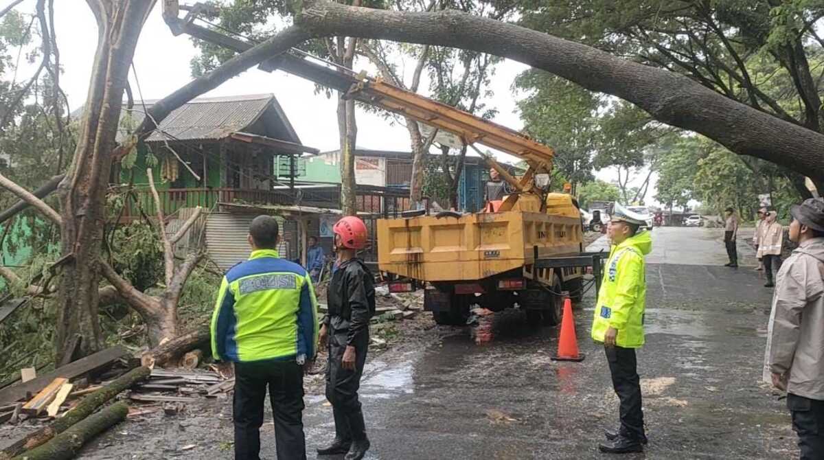 Pohon Tumbang di Jalan Jajaway, Lalu-lintas Tutup Buka 3 Pohon Tumbang di Jalan Jajaway, Lalu-lintas Tutup Buka