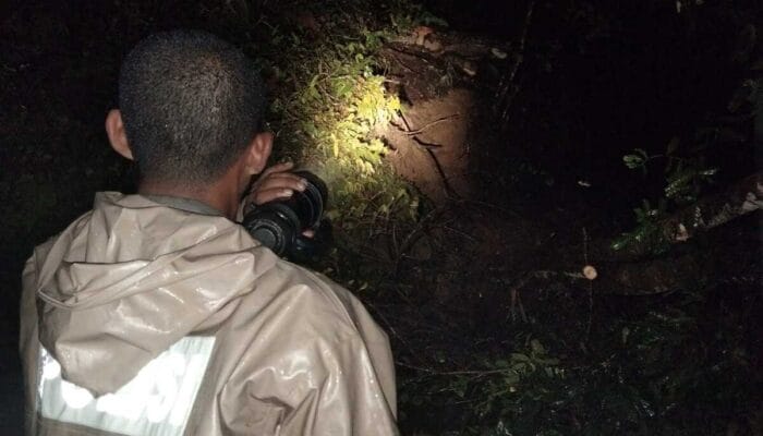 Pohon Tumbang di Tanjakan Cisarakan Sempat Tutup Jalan