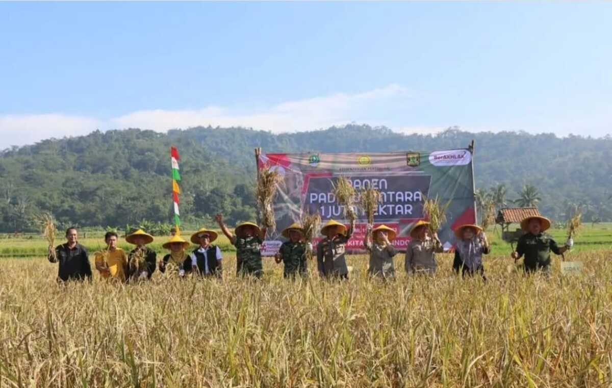 Kabupaten Sukabumi Gerakan Panen Padi Nusantara