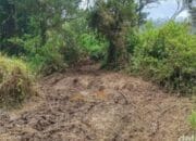 Motor Trail Rusak Edelweis Rawa di Ranca Upas