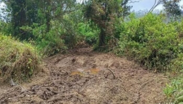 Motor Trail Rusak Edelweis Rawa di Ranca Upas