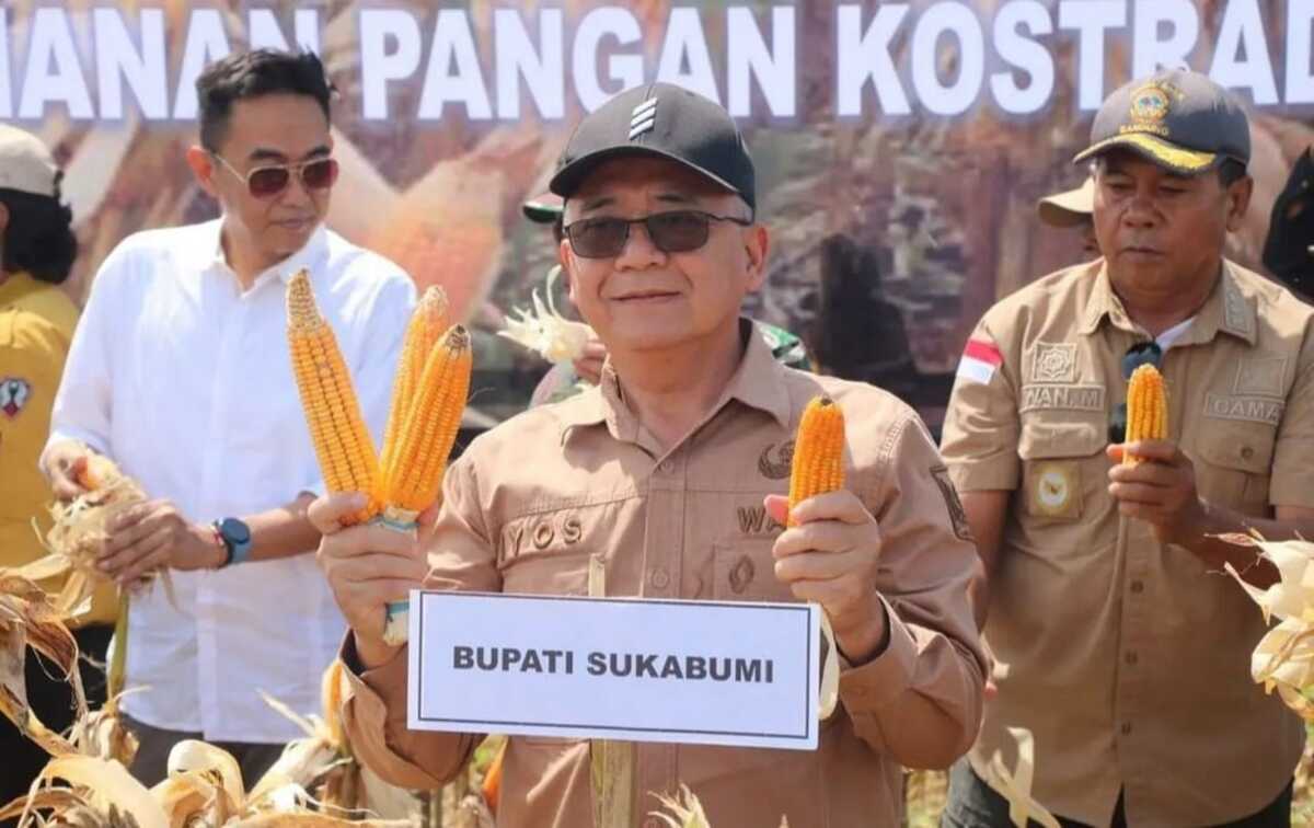 Panen Jagung di Ciemas, Begini Harapan Wabup Sukabumi