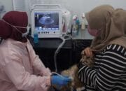 UPTD Klinik Hewan Kota Bandung Buka Pemeriksaan Gratis