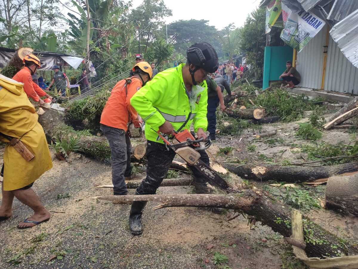 Pohon Tumbang, 2 Rumah Rusak, Jalan Macet 2 Pohon Tumbang, 2 Rumah Rusak, Jalan Macet