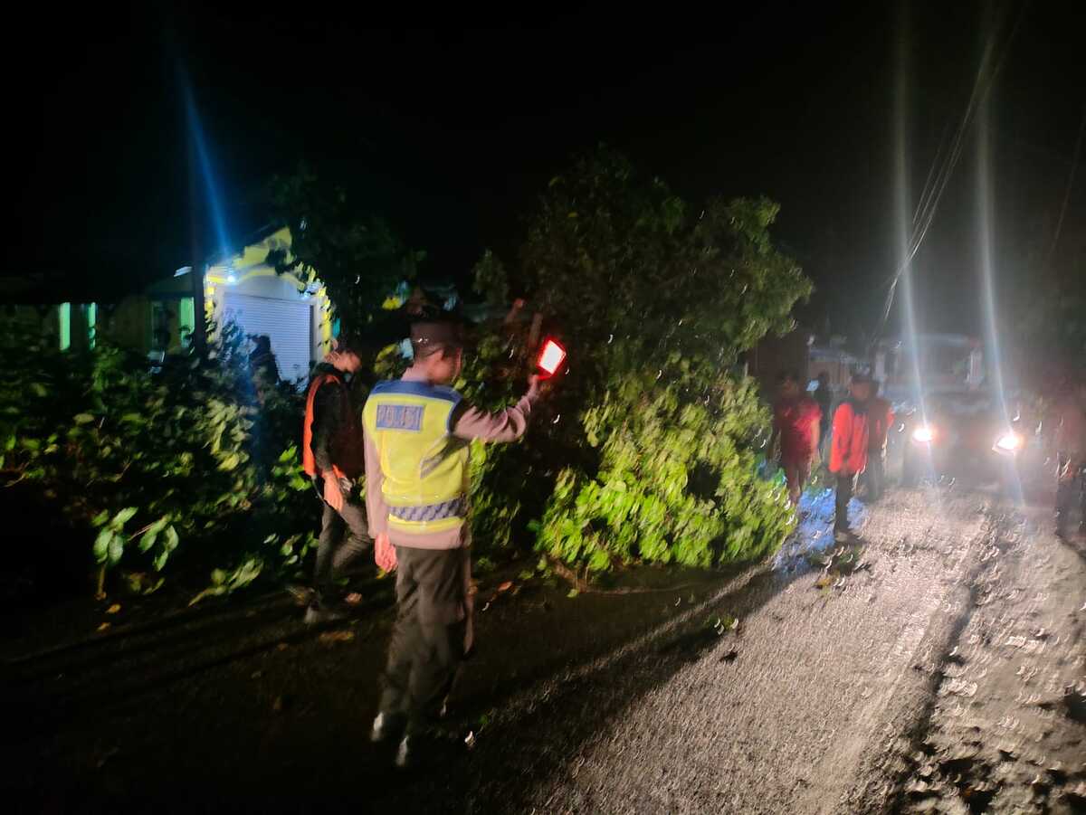 Pohon Tumbang Menutup Jalan Raya Cipeuyeum Cianjur