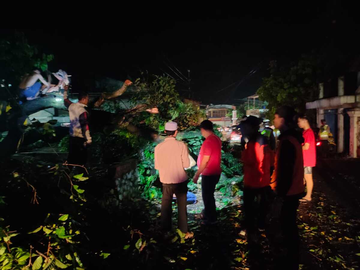 Pohon Tumbang Menutup Jalan Raya Cipeuyeum Cianjur