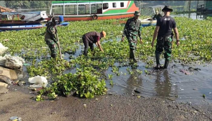 Gappartel Jangari Gelar Jumsih Bersihkan Eceng Gondok