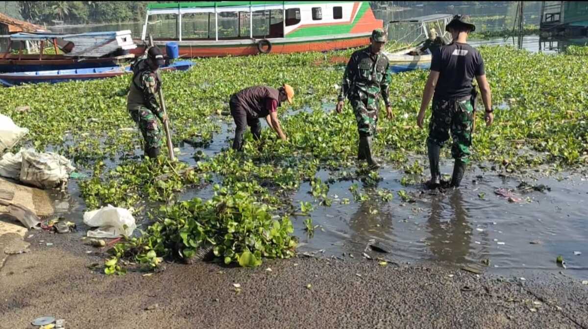 Gappartel Jangari Gelar Jumsih Bersihkan Eceng Gondok