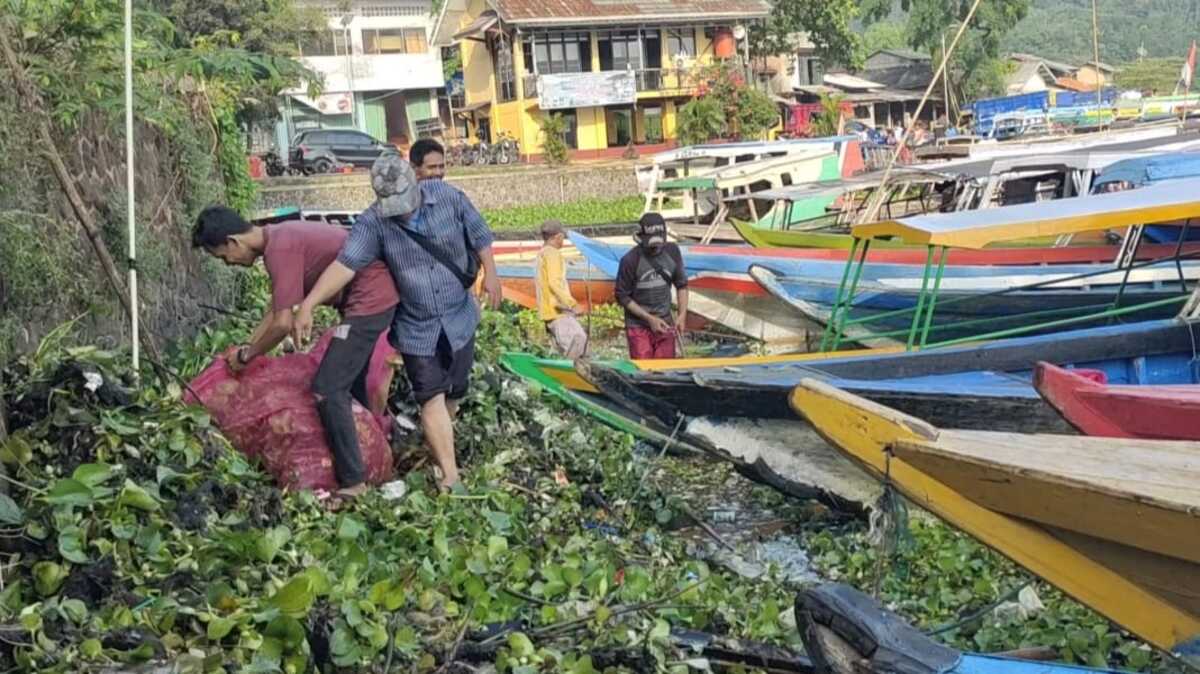 Gappartel Jangari Gelar Jumsih Bersihkan Eceng Gondok