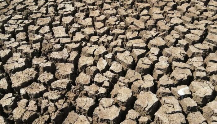 BPBD Jabar Tengah Melakukan Antisipasi Dampak El Nino