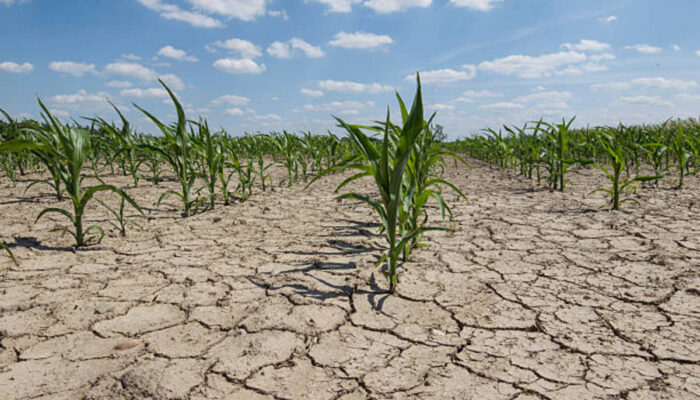 DTPH Jawa Barat Antisipasi Dampak El Nino