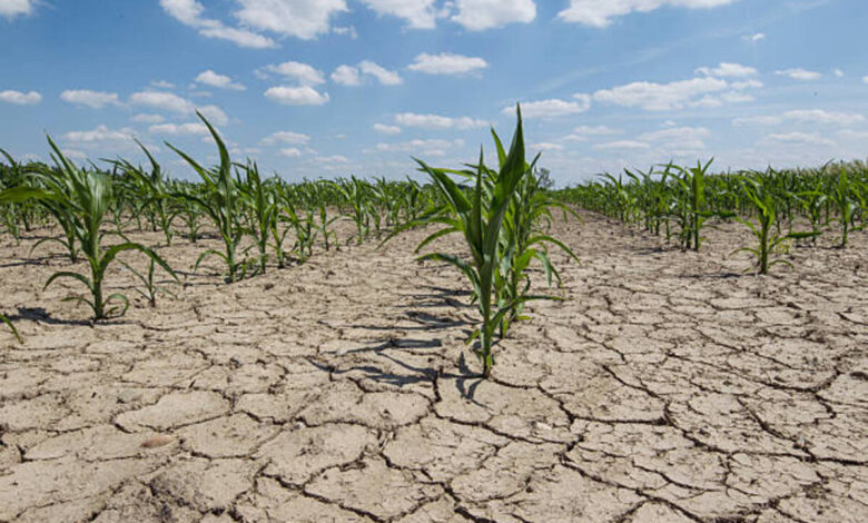 DTPH Jawa Barat Antisipasi Dampak El Nino