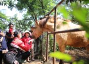 Kebun Binatang Bandung Bakal Diambil Alih