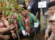 Uu Tanam 1.000 Bibit Pohon di Kampung Pramuka Kubungsari