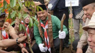 Pak Uu Tanam 1.000 Bibit Pohon di Kampung Pramuka Kubungsari