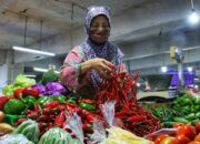 Harga Cabai dan Daging Ayam di Kota Bandung Belum Turun