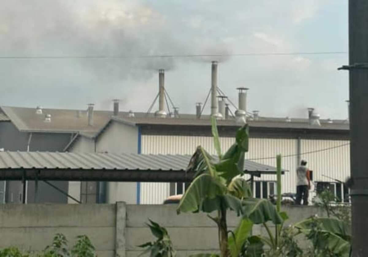 Puluhan Warga Madiun Terdampak Industri Pengolahan Porang