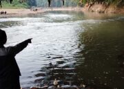 Seorang Santri Tenggelam di Leuwi Jamrong Cisokan Cianjur