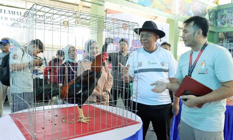 Shamo Expo 3 Wadah Penggemar Ayam Hias & Reftil
