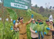 Dadang Supriatna Klaim Tembakau Kab Bandung Berkualitas