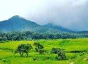 Desa Neglawangi Persiapkan Diri Menjadi Desa Wisata