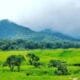 Desa Neglawangi Persiapkan Diri Menjadi Desa Wisata