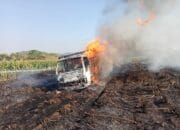 Truk Kebakaran di Kebun Tebu, Ladang Pun Terpanggang