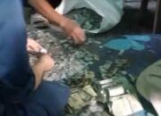 Uang Koin Belasan Juta Rupiah Hebohkan Warga Cianjur