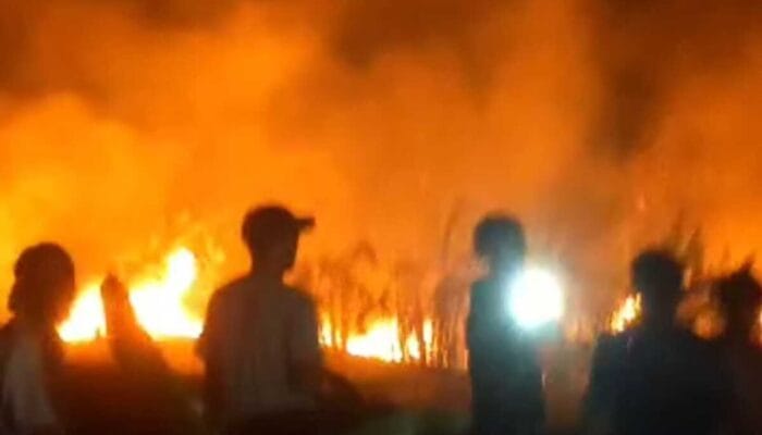 Bukit Batu Sapi Seluas 2 Hektare Kebakaran