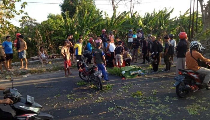 Gadis Tertimpa Pohon Tewas saat Bersepeda Motor