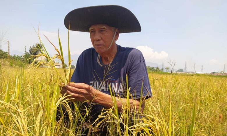 Kota Cimahi Punya 32 Ton Beras Cadangan