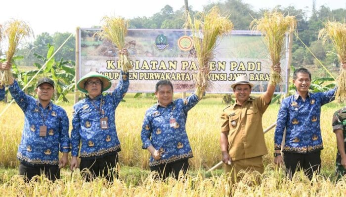 Benni Irwan Panen Raya Padi 28 Ha di Desa Tanjungsari