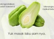 Manfaat Buah Lambu Siam untuk Kesehaan