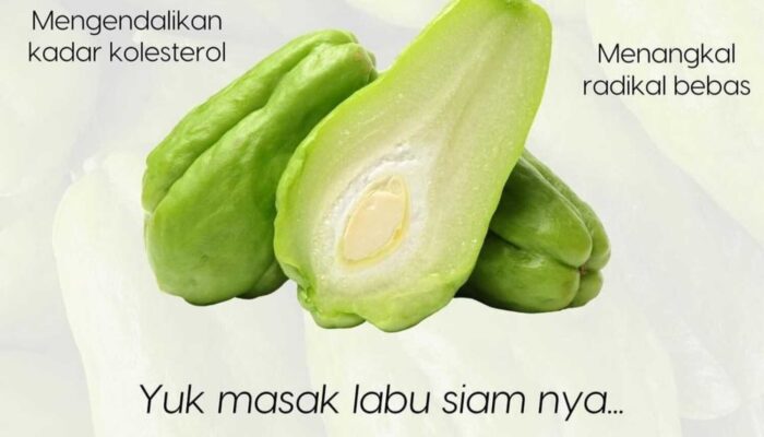 Manfaat Buah Lambu Siam untuk Kesehaan