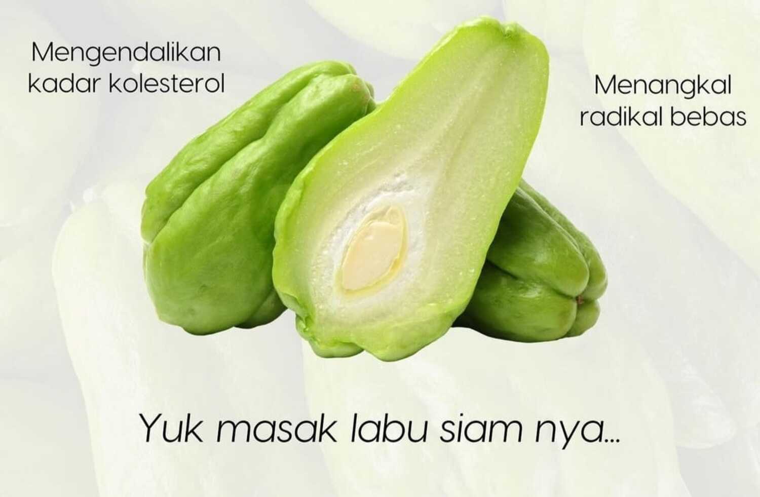 Manfaat Buah Lambu Siam untuk Kesehaan