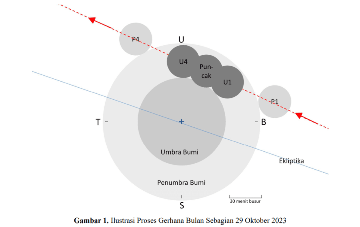 Mengenal Gerhana Bulan yang Diprediksi Terjadi 29 November