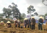 Kota Cimahi Menerima Bantuan 5.000 Bibit Cabai