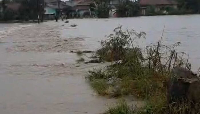 Puluhan Rumah di Cianjur Terendam Banjir Bandang