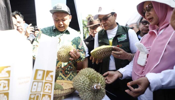 Bedas Festival Durian Diserbu Warga dan Para ASN