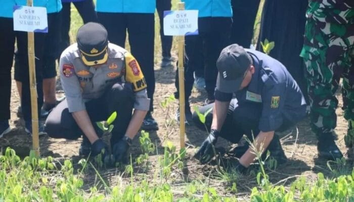 Iyos Somantri Hadiri Penanaman Mangrove di Villa Batman