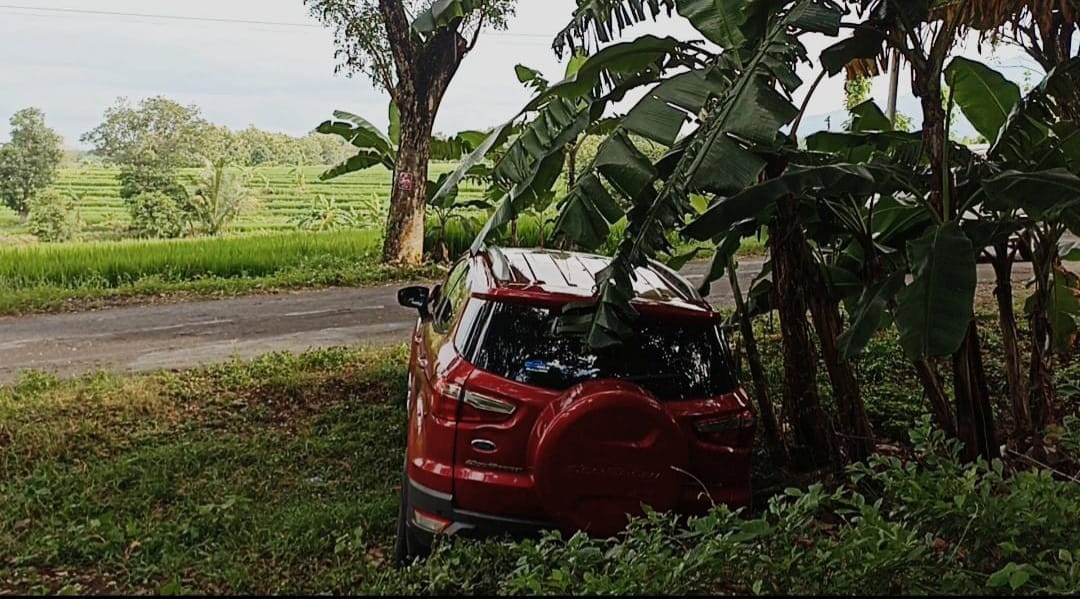 Oleng Akibat Ngantuk, 1 Mobil di Ngawi Nyungsep