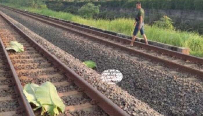 Kakek Tua Tewas Tersambar Kereta Api
