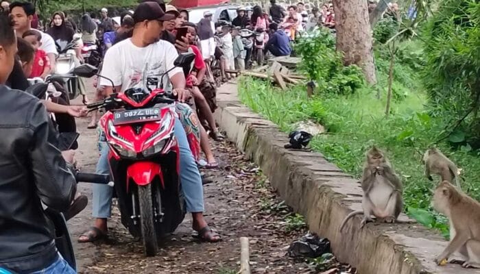 Monyet Liar & Jembatan Citarum Lama Ajang Ngabuburit