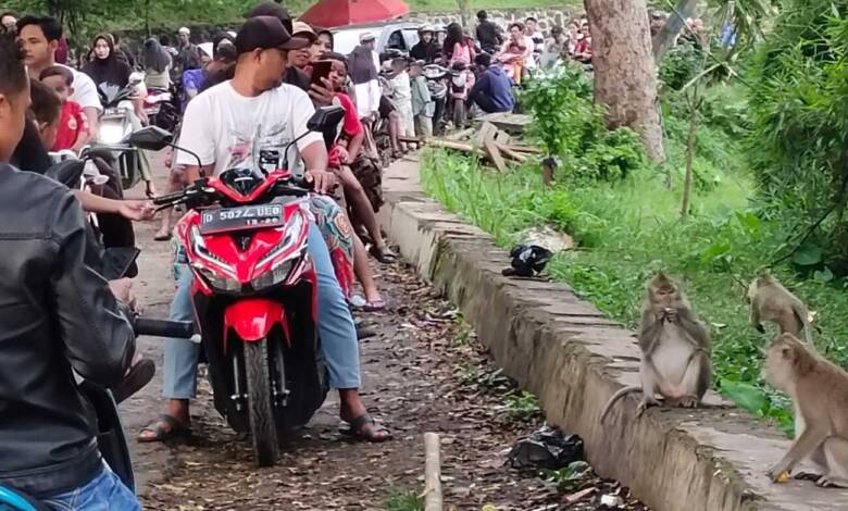 Monyet Liar & Jembatan Citarum Lama Ajang Ngabuburit