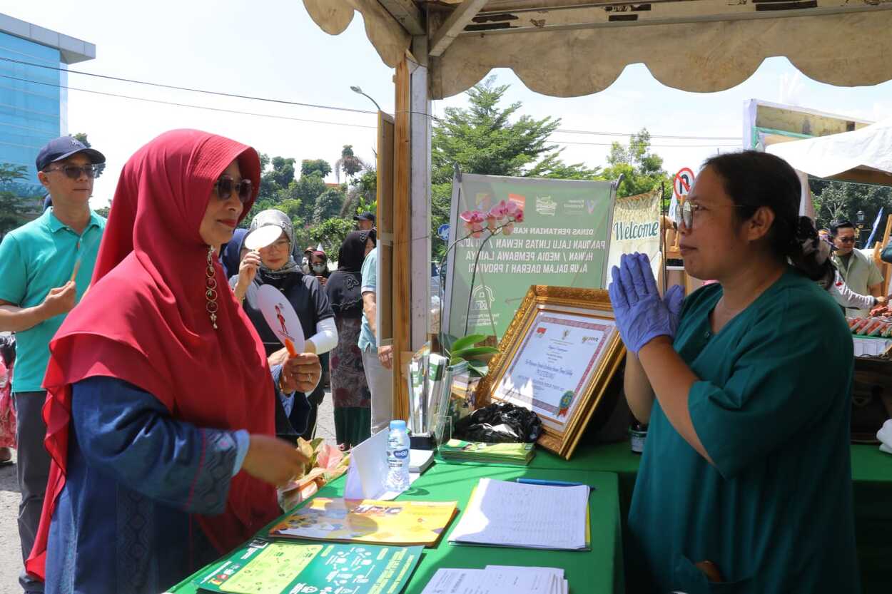 Festival Kreativitas Kabupaten Bandung Bedas Sambut Hari Jadi
