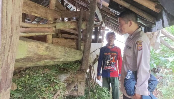 Maling Gasab 7 Ekor Kambing Warga Tamansari Kab Sukabumi